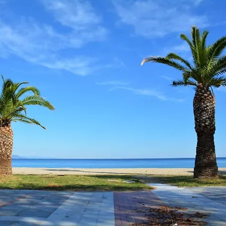 Artemis In * Asprovalta