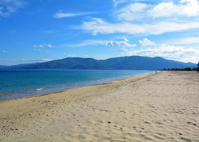 Artemis In * Asprovalta