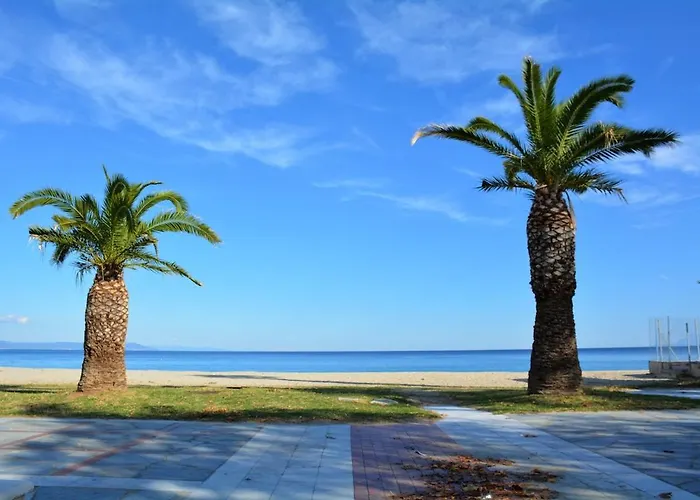 Artemis In * Asprovalta